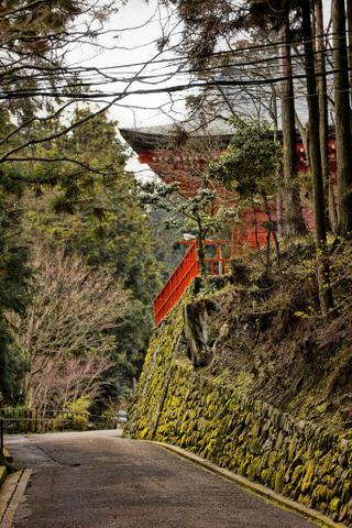 Illustration for article titled Random Walk NOT Around My Place #3: Otsu Edition
